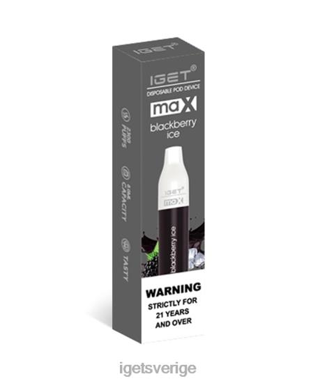 iget max 88HR677 björnbärs is - IGET Vape Discount